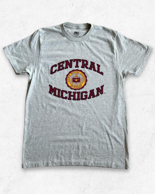 Camiseta American Vintage Central Michigan University Gris M
