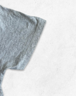 Camiseta American Vintage Central Michigan University Gris M