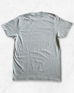 Camiseta American Vintage Central Michigan University Gris M