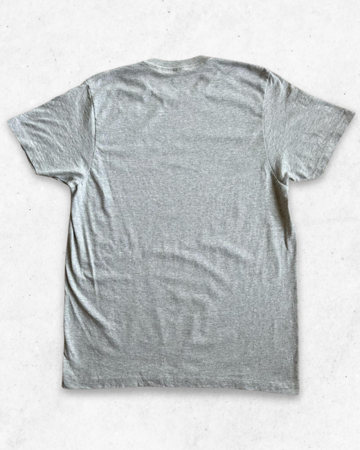 Camiseta American Vintage Central Michigan University Gris M