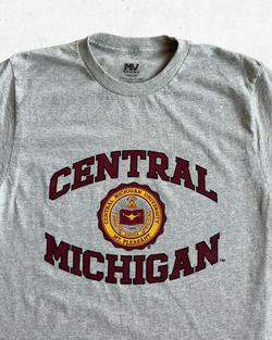 Camiseta American Vintage Central Michigan University Gris M