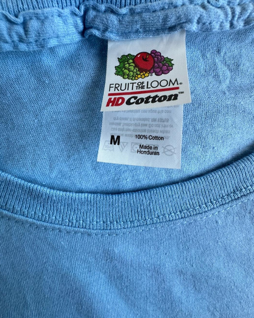 Camiseta American Vintage Dryden Street School