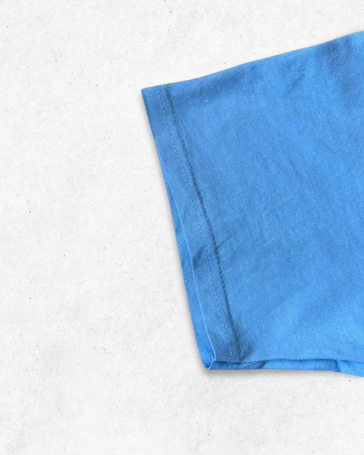 Camiseta American Vintage Dryden Street School