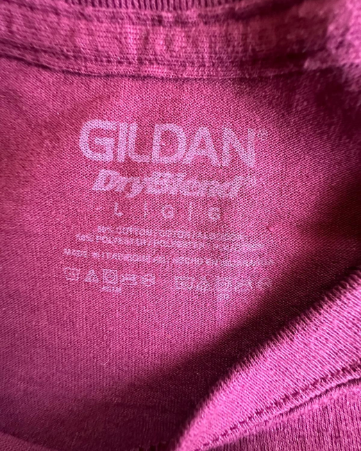 Camiseta American Vintage Fantastic Elements