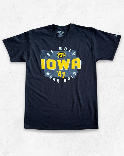 Camiseta American Vintage Iowa Hawkeyes University