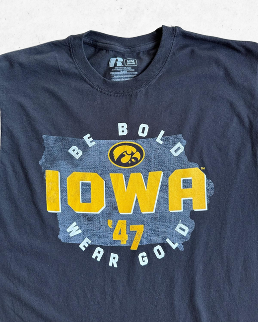 Camiseta American Vintage Iowa Hawkeyes University