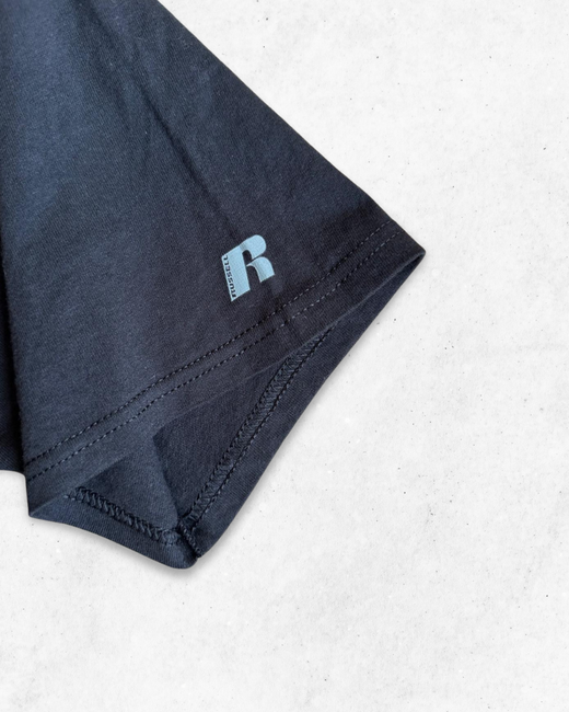 Camiseta American Vintage Iowa Hawkeyes University