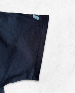 Camiseta American Vintage Iowa Hawkeyes University