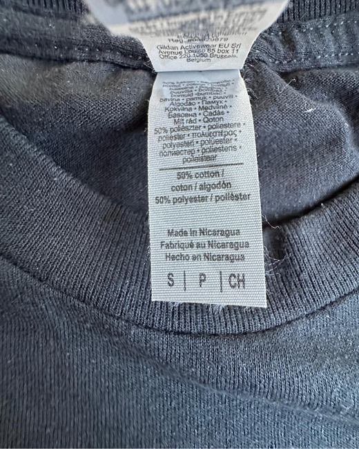 Camiseta American Vintage Monticello State Panthers