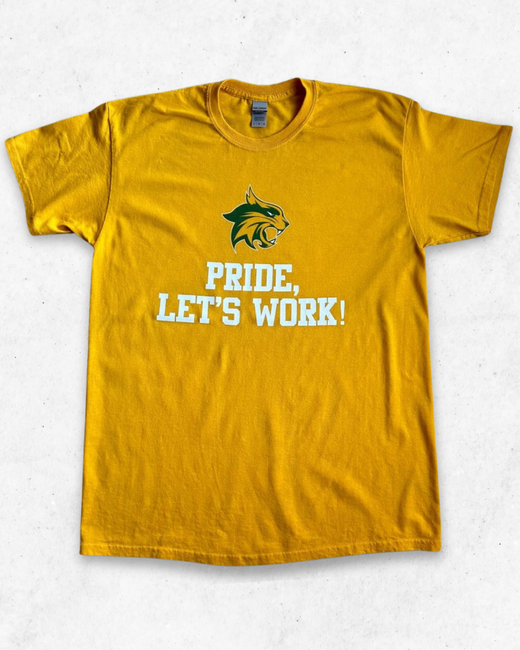 Camiseta American Vintage Pride Let´s Work