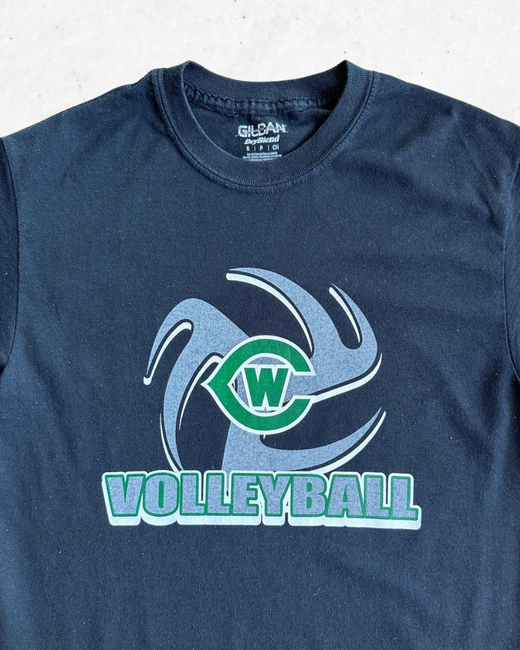 Camiseta American Vintage Volleyball