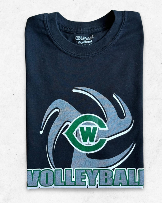 Camiseta American Vintage Volleyball