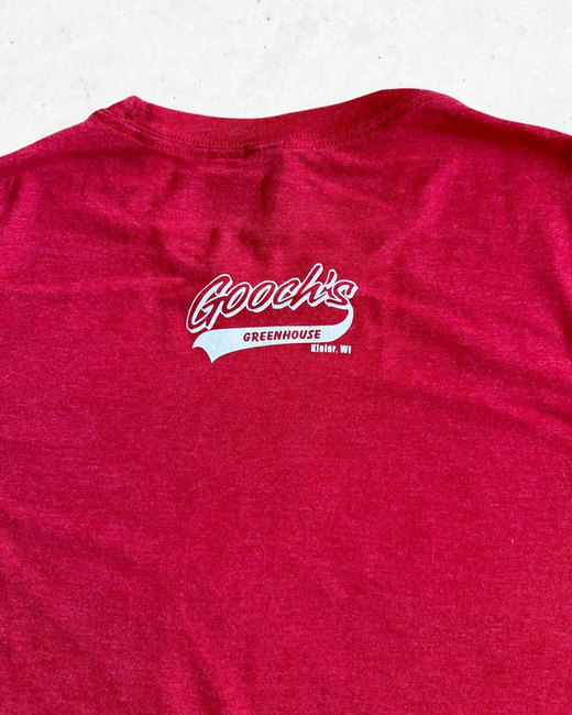 Camiseta American Vintage Wisconsin Badgers University Rojo M