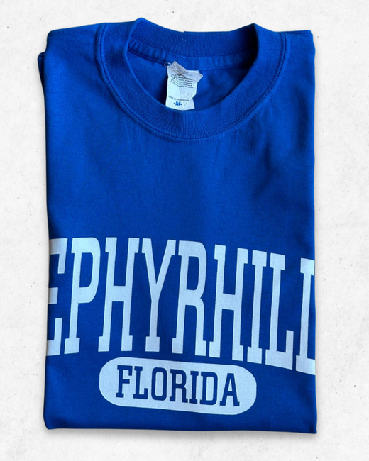 Camiseta American Vintage Zephyrhills Florida Azul M - Segunda Mano