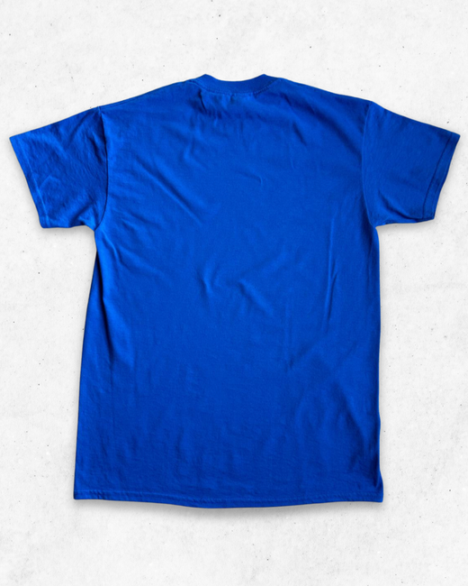 Camiseta American Vintage Zephyrhills Florida Azul M - Segunda Mano