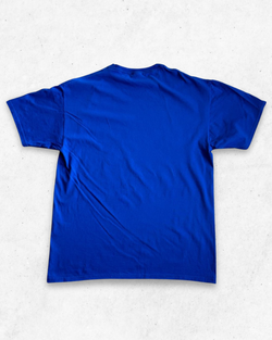 Camiseta MLB Chicago Cubs World Champions 2016 Azul L - Segunda Mano