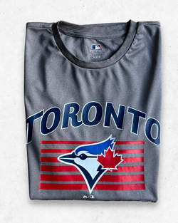 Camiseta MLB Toronto Blue Jays Gris S - Segunda Mano
