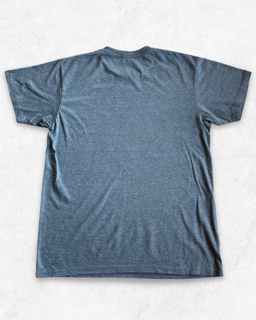 Camiseta NBA Toronto Raptors Gris M