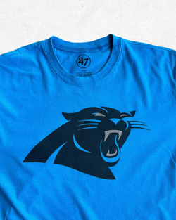 Camiseta NFL Carolina Panthers Azul M - Segunda Mano