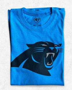 Camiseta NFL Carolina Panthers Azul M - Segunda Mano