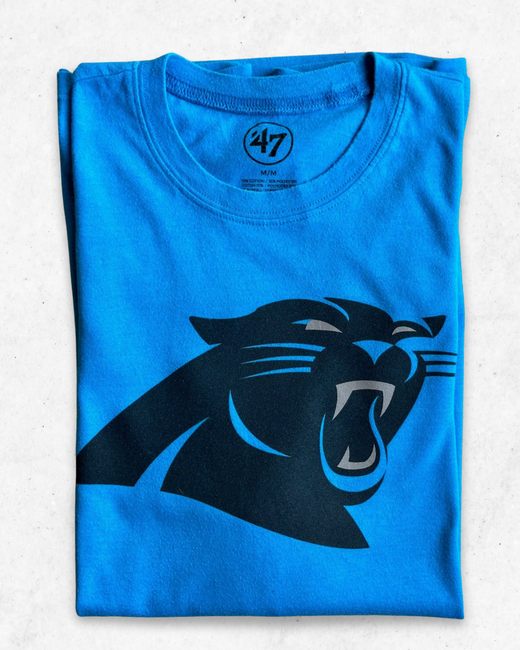 Camiseta NFL Carolina Panthers Azul M - Segunda Mano