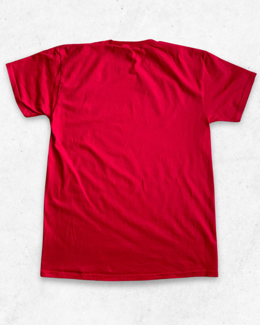 Camiseta NFL Georgia Bulldogs Champions 2022