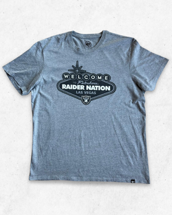 Camiseta NFL Las Vegas Raiders Gris L - Segunda Mano