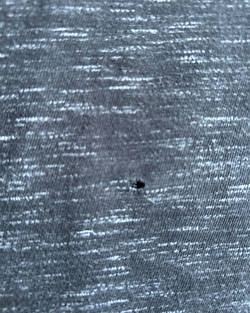 Camiseta NFL New England Patriots Mujer Gris XXL