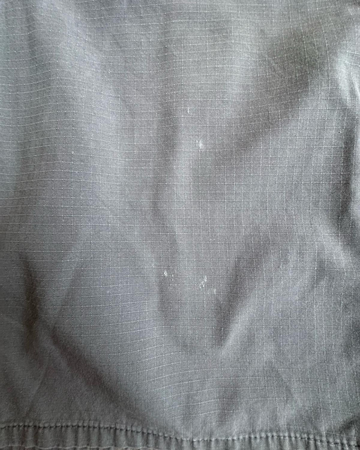 Pantalón Corto Dickies Gris L