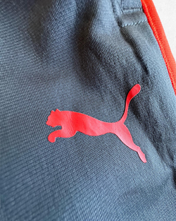 Pantalón Deportivo Puma Gris y Rojo L - Segunda Mano