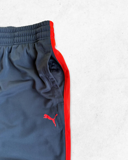 Pantalón Deportivo Puma Gris y Rojo L - Segunda Mano