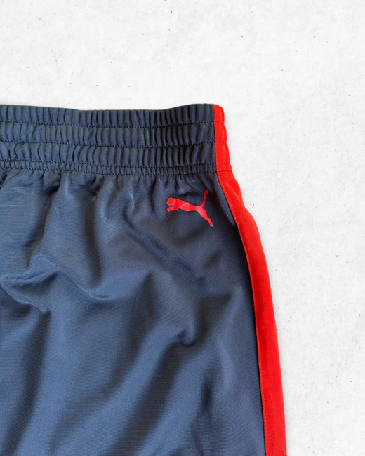 Pantalón Deportivo Puma Gris y Rojo L - Segunda Mano