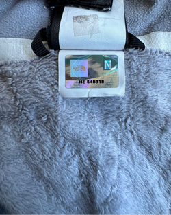 Polar The North Face Osito de Mujer Gris M