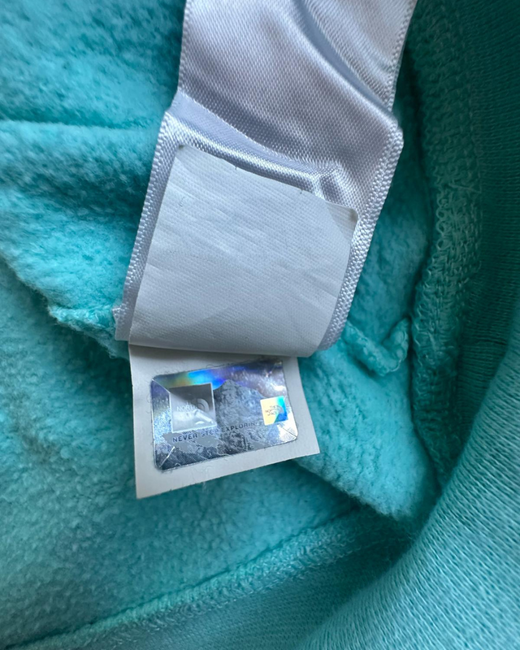 Sudadera The North Face Our Land Our Future Mujer Turquesa S